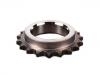 Rueda dentada, cigüeñal Crankshaft Gear:11 31 7 502 180